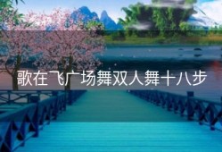 歌在飞广场舞双人舞十八步