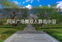 阿采广场舞双人舞雨中泪