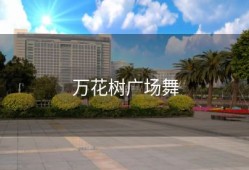 万花树广场舞