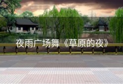 夜雨广场舞《草原的夜》