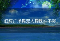 红豆广场舞双人舞妹妹不哭