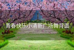 青春快乐小清新广场舞背面