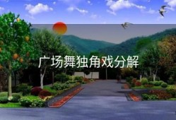 广场舞独角戏分解