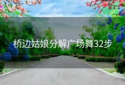 桥边姑娘分解广场舞32步