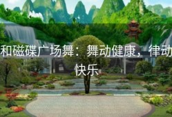 和磁碟广场舞：舞动健康，律动快乐