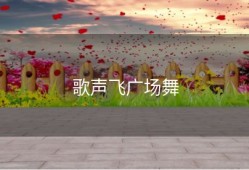 歌声飞广场舞