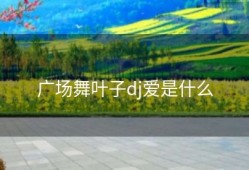 广场舞叶子dj爱是什么