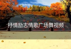 抒情励志情歌广场舞视频