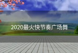 2020最火快节奏广场舞
