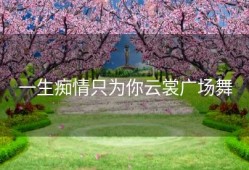 一生痴情只为你云裳广场舞