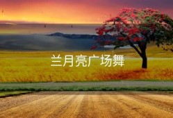 兰月亮广场舞