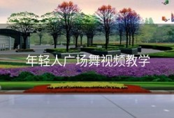 年轻人广场舞视频教学