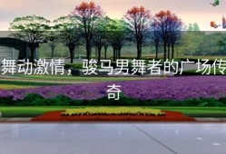舞动激情，骏马男舞者的广场传奇