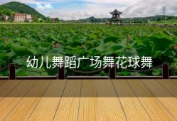 幼儿舞蹈广场舞花球舞