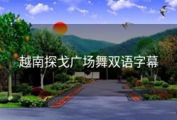 越南探戈广场舞双语字幕