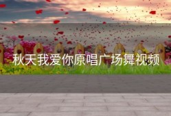 秋天我爱你原唱广场舞视频