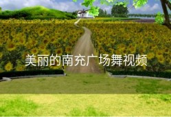 美丽的南充广场舞视频