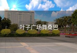 叶子广场舞桑巴