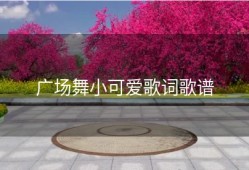 广场舞小可爱歌词歌谱