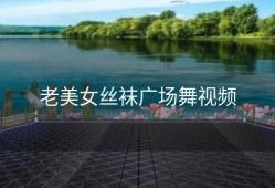 老美女丝袜广场舞视频