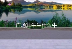 广场舞牛牛什么牛