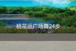 桃花运广场舞24步