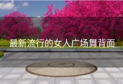 最新流行的女人广场舞背面