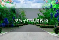 1岁孩子广场舞视频