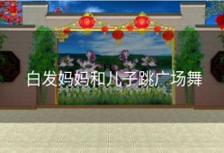 白发妈妈和儿子跳广场舞