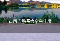 古风广场舞大全男生版