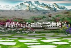 真情永远留给你广场舞教学