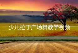 少儿拉丁广场舞教学视频