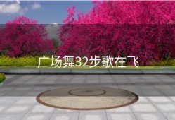 广场舞32步歌在飞