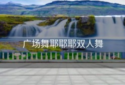 广场舞耶耶耶双人舞