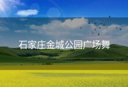 石家庄金城公园广场舞