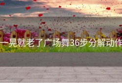 一晃就老了广场舞36步分解动作
