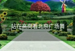 站在高岗看北京广场舞
