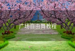广场自由舞教程