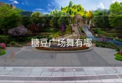 糖豆广场舞有哪