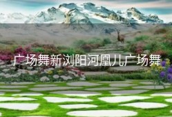 广场舞新浏阳河凰儿广场舞