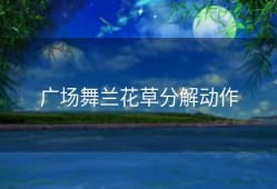 广场舞兰花草分解动作