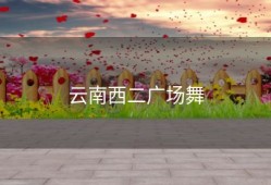 云南西二广场舞