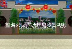 望海公园广场舞鬼步舞视频