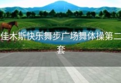 佳木斯快乐舞步广场舞体操第二套