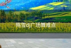 殇雪dj广场舞难点