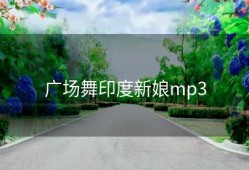 广场舞印度新娘mp3