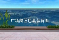 广场舞蓝色套装背面