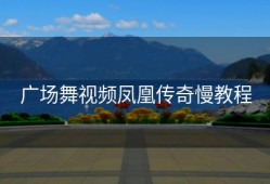 广场舞视频凤凰传奇慢教程