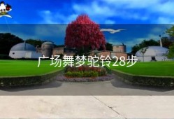 广场舞梦驼铃28步