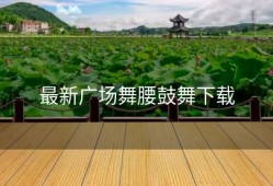 最新广场舞腰鼓舞下载